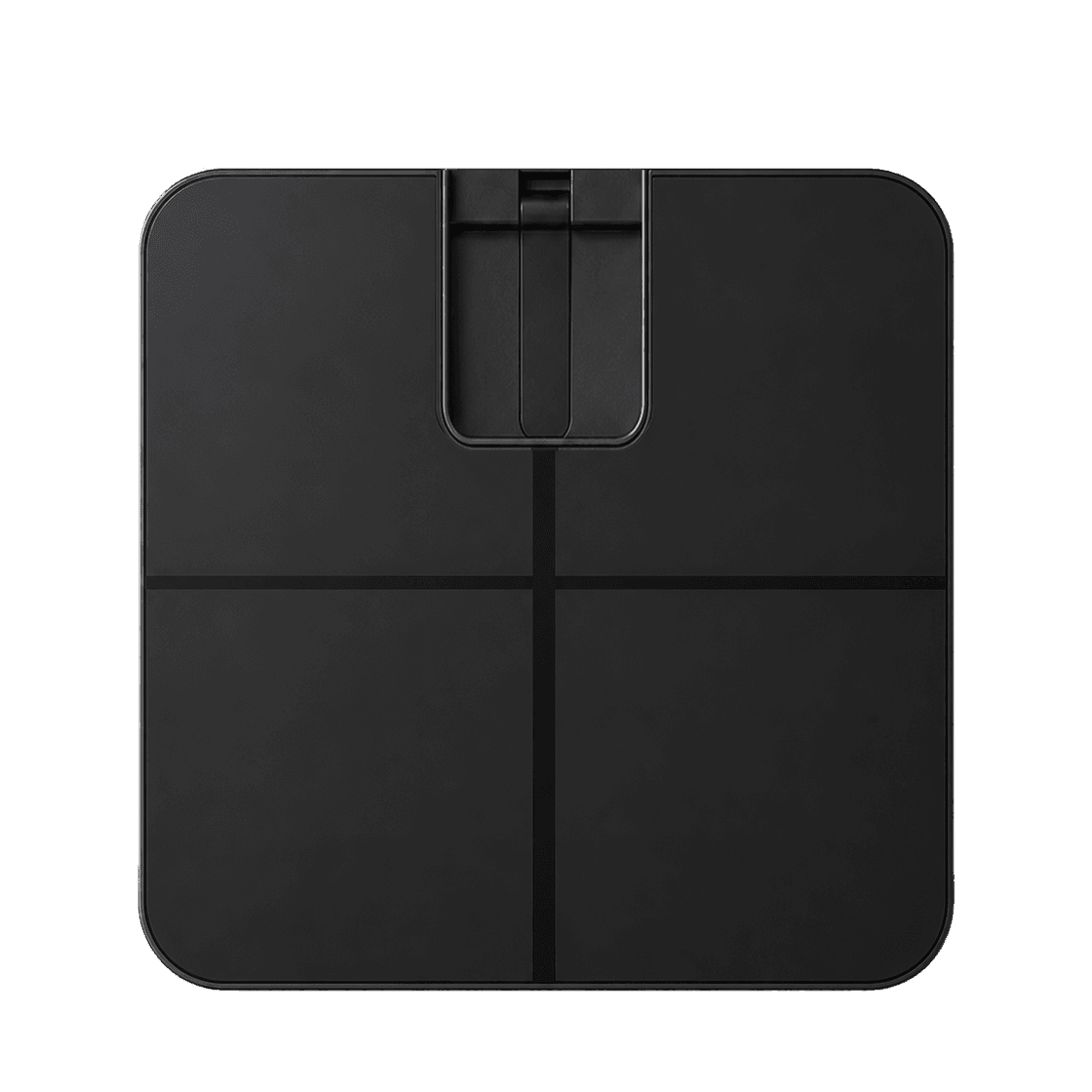ScalePro scale dock